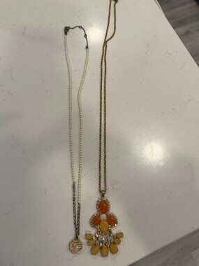 Set of 2 Long J. Crew Necklaces